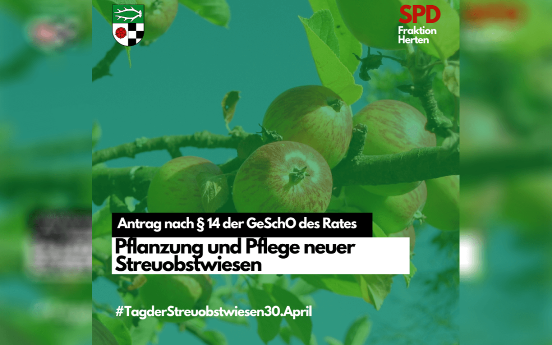 Antrag – Streuobstwiesen