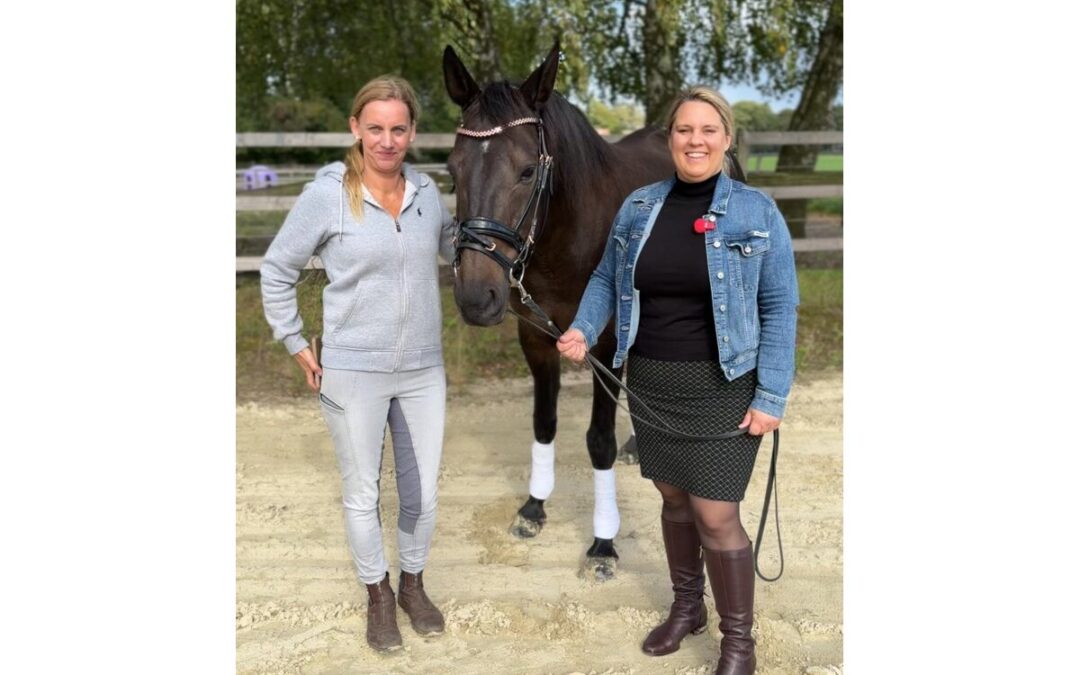 Hallo, wir sind hier beim Reitsportcentrum in der Ried. Wir, das sind der Traber