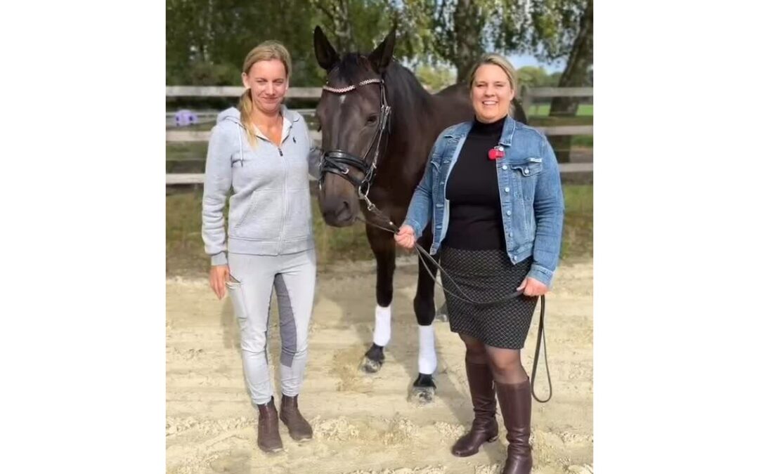 Hallo, wir sind hier beim Reitsportcentrum in der Ried. Wir, das sind der Traber